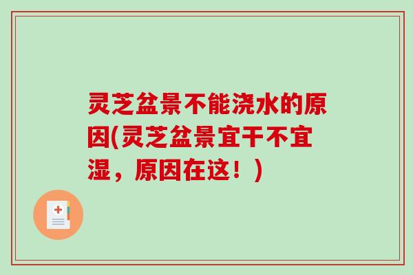 灵芝盆景不能浇水的原因(灵芝盆景宜干不宜湿，原因在这！)