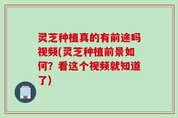 灵芝种植真的有前途吗视频(灵芝种植前景如何？看这个视频就知道了)