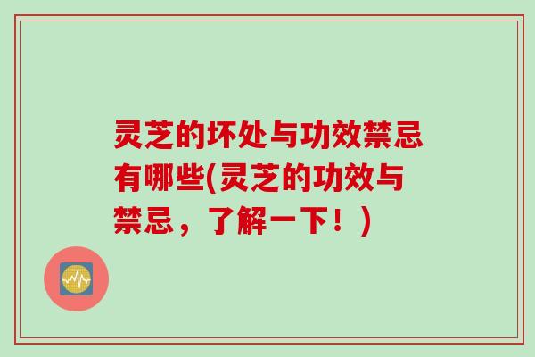 灵芝的坏处与功效禁忌有哪些(灵芝的功效与禁忌，了解一下！)