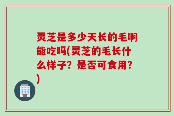 灵芝是多少天长的毛啊能吃吗(灵芝的毛长什么样子？是否可食用？)