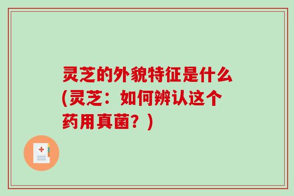 灵芝的外貌特征是什么(灵芝：如何辨认这个药用真菌？)