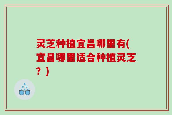灵芝种植宜昌哪里有(宜昌哪里适合种植灵芝？)