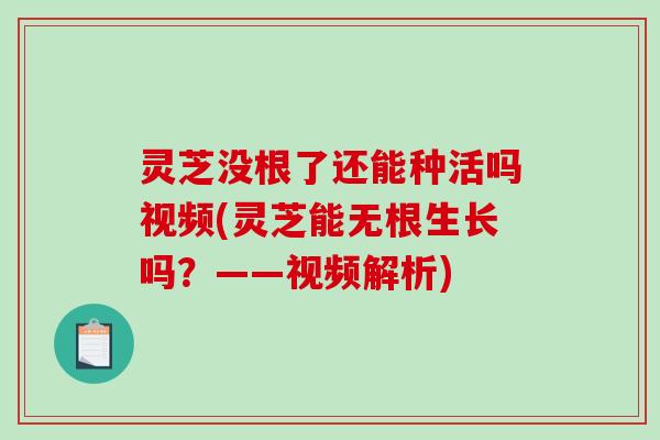 灵芝没根了还能种活吗视频(灵芝能无根生长吗？——视频解析)