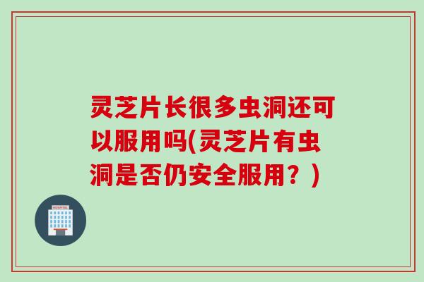 灵芝片长很多虫洞还可以服用吗(灵芝片有虫洞是否仍安全服用？)