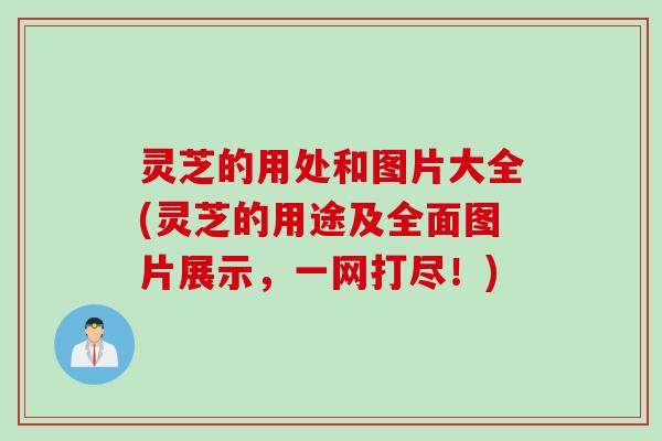 灵芝的用处和图片大全(灵芝的用途及全面图片展示，一网打尽！)