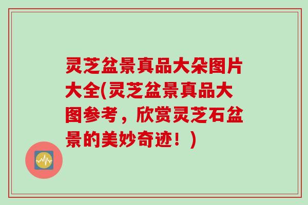 灵芝盆景真品大朵图片大全(灵芝盆景真品大图参考，欣赏灵芝石盆景的美妙奇迹！)