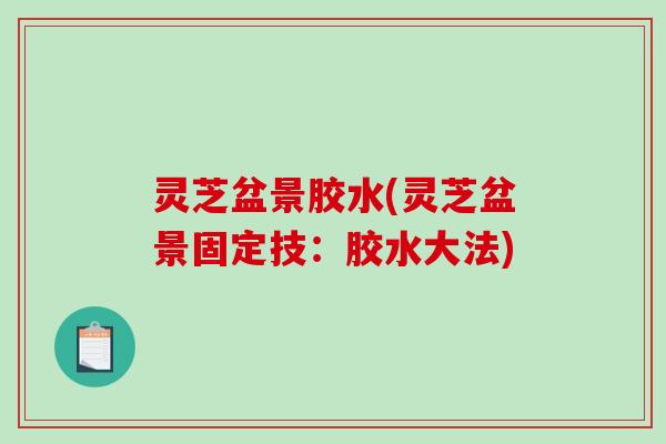 灵芝盆景胶水(灵芝盆景固定技：胶水大法)