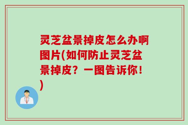 灵芝盆景掉皮怎么办啊图片(如何防止灵芝盆景掉皮？一图告诉你！)