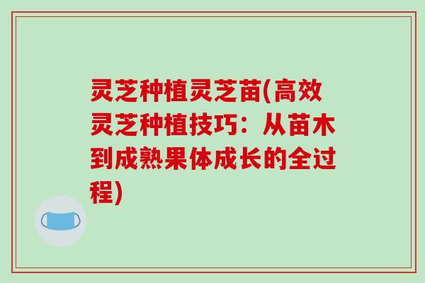 灵芝种植灵芝苗(高效灵芝种植技巧：从苗木到成熟果体成长的全过程)