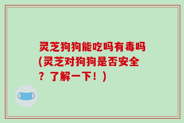 灵芝狗狗能吃吗有毒吗(灵芝对狗狗是否安全？了解一下！)