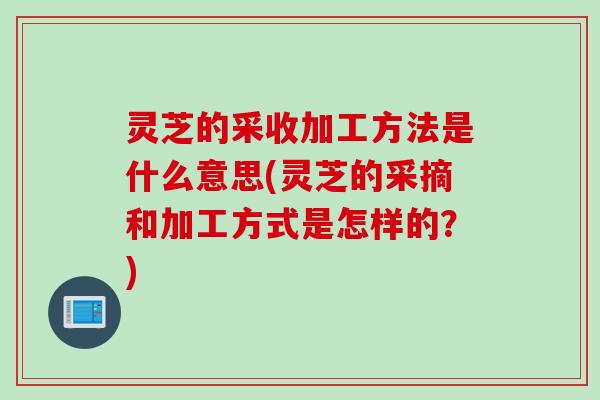 灵芝的采收加工方法是什么意思(灵芝的采摘和加工方式是怎样的？)