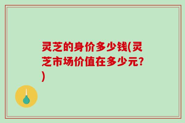 灵芝的身价多少钱(灵芝市场价值在多少元？)