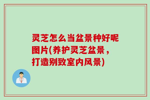 灵芝怎么当盆景种好呢图片(养护灵芝盆景，打造别致室内风景)