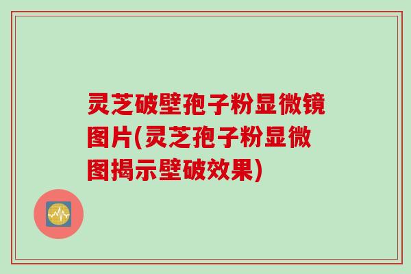 灵芝破壁孢子粉显微镜图片(灵芝孢子粉显微图揭示壁破效果)