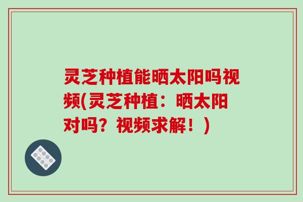 灵芝种植能晒太阳吗视频(灵芝种植：晒太阳对吗？视频求解！)