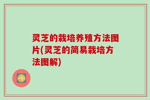 灵芝的栽培养殖方法图片(灵芝的简易栽培方法图解)