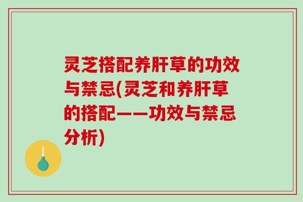 灵芝搭配养肝草的功效与禁忌(灵芝和养肝草的搭配——功效与禁忌分析)