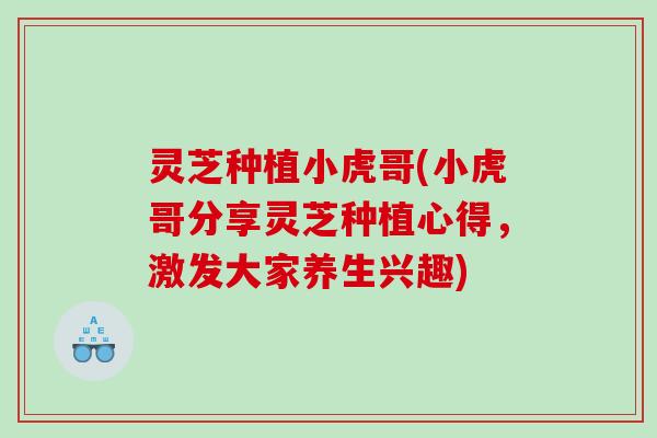 灵芝种植小虎哥(小虎哥分享灵芝种植心得，激发大家养生兴趣)