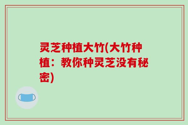 灵芝种植大竹(大竹种植：教你种灵芝没有秘密)