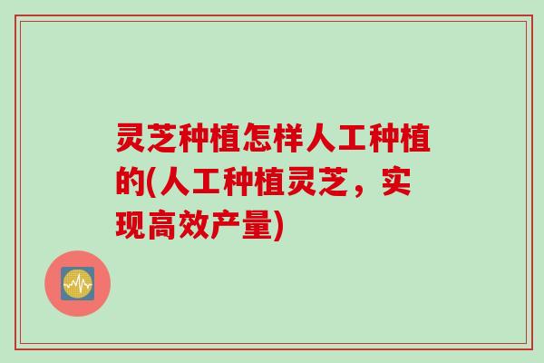 灵芝种植怎样人工种植的(人工种植灵芝，实现高效产量)