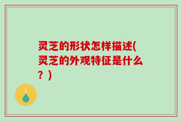 灵芝的形状怎样描述(灵芝的外观特征是什么？)
