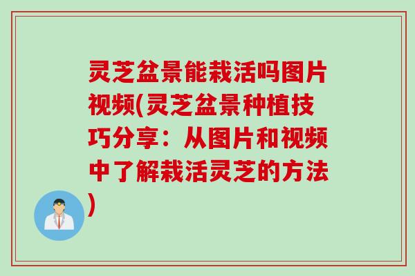 灵芝盆景能栽活吗图片视频(灵芝盆景种植技巧分享：从图片和视频中了解栽活灵芝的方法)