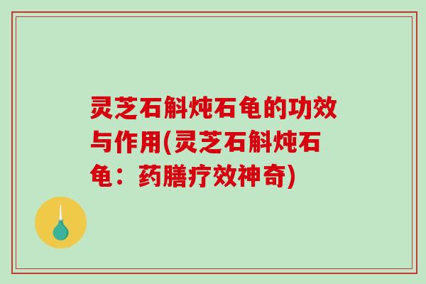灵芝石斛炖石龟的功效与作用(灵芝石斛炖石龟：药膳疗效神奇)