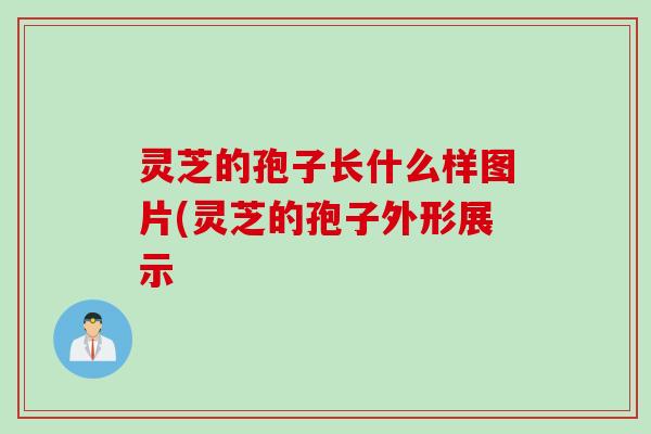 灵芝的孢子长什么样图片(灵芝的孢子外形展示