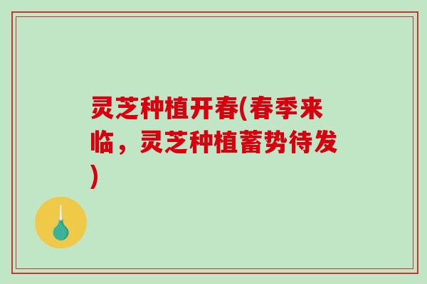 灵芝种植开春(春季来临，灵芝种植蓄势待发)