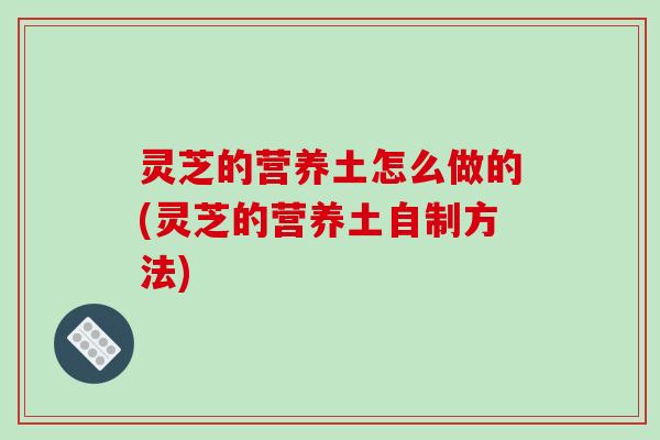 灵芝的营养土怎么做的(灵芝的营养土自制方法)