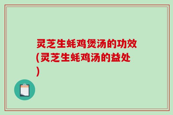 灵芝生蚝鸡煲汤的功效(灵芝生蚝鸡汤的益处)