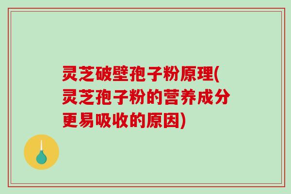 灵芝破壁孢子粉原理(灵芝孢子粉的营养成分更易吸收的原因)