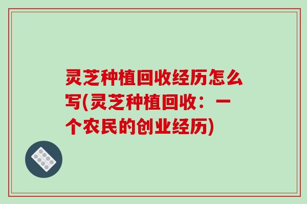灵芝种植回收经历怎么写(灵芝种植回收：一个农民的创业经历)