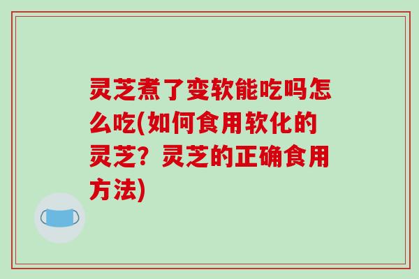 灵芝煮了变软能吃吗怎么吃(如何食用软化的灵芝？灵芝的正确食用方法)