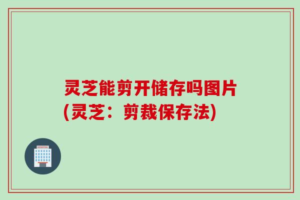 灵芝能剪开储存吗图片(灵芝：剪裁保存法)