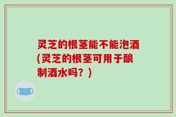灵芝的根茎能不能泡酒(灵芝的根茎可用于酿制酒水吗？)
