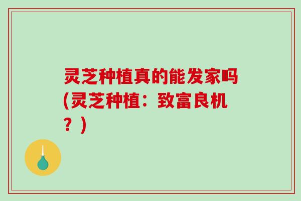 灵芝种植真的能发家吗(灵芝种植：致富良机？)