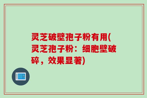 灵芝破壁孢子粉有用(灵芝孢子粉：细胞壁破碎，效果显著)