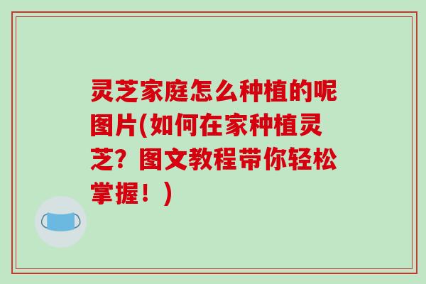 灵芝家庭怎么种植的呢图片(如何在家种植灵芝？图文教程带你轻松掌握！)