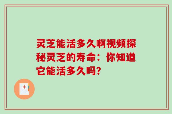 灵芝能活多久啊视频探秘灵芝的寿命：你知道它能活多久吗？