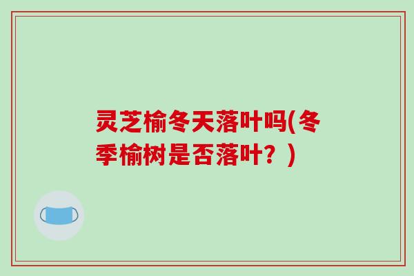 灵芝榆冬天落叶吗(冬季榆树是否落叶？)