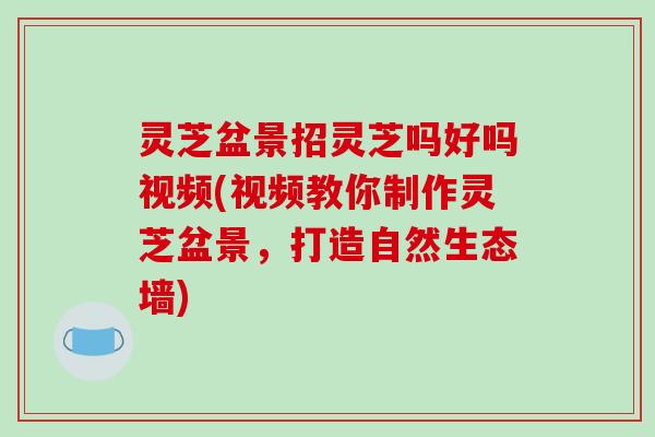 灵芝盆景招灵芝吗好吗视频(视频教你制作灵芝盆景，打造自然生态墙)