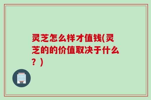 灵芝怎么样才值钱(灵芝的的价值取决于什么？)