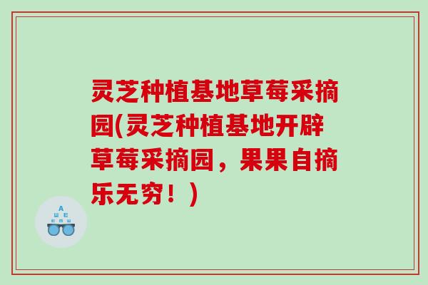 灵芝种植基地草莓采摘园(灵芝种植基地开辟草莓采摘园，果果自摘乐无穷！)