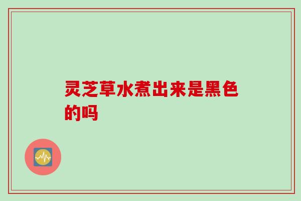 灵芝草水煮出来是黑色的吗