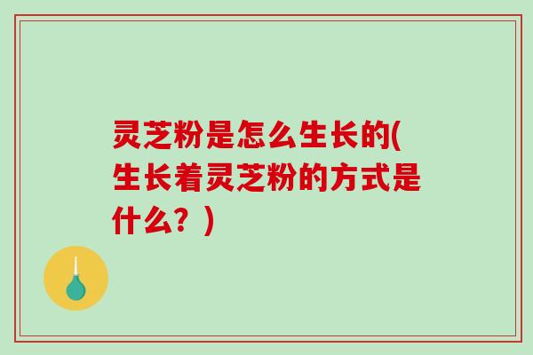 灵芝粉是怎么生长的(生长着灵芝粉的方式是什么？)