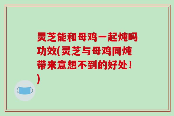 灵芝能和母鸡一起炖吗功效(灵芝与母鸡同炖带来意想不到的好处！)