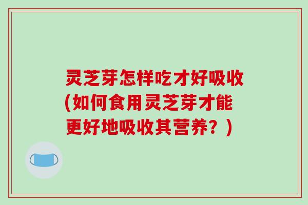 灵芝芽怎样吃才好吸收(如何食用灵芝芽才能更好地吸收其营养？)