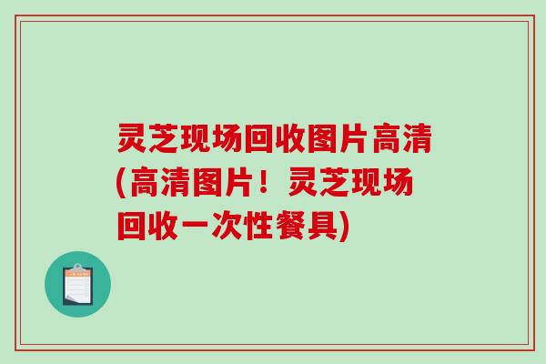 灵芝现场回收图片高清(高清图片！灵芝现场回收一次性餐具)