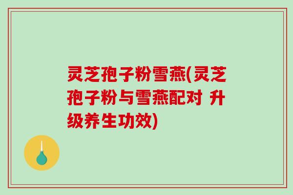 灵芝孢子粉雪燕(灵芝孢子粉与雪燕配对 升级养生功效)